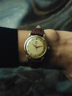 OMEGA "Antique Gold Tropical Dial" 1950s