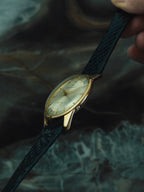 SEIKO Seikomatic "Silver Halo" 30 Jewels 1960s