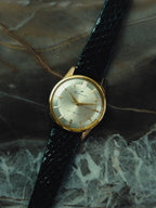 SEIKO Seikomatic "Silver Halo" 30 Jewels 1960s
