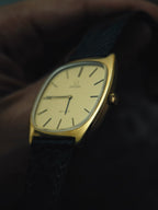 OMEGA Deville GP Mechanical 1970s