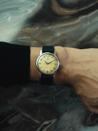 OMEGA Seamaster Patina Dial 1958-63s